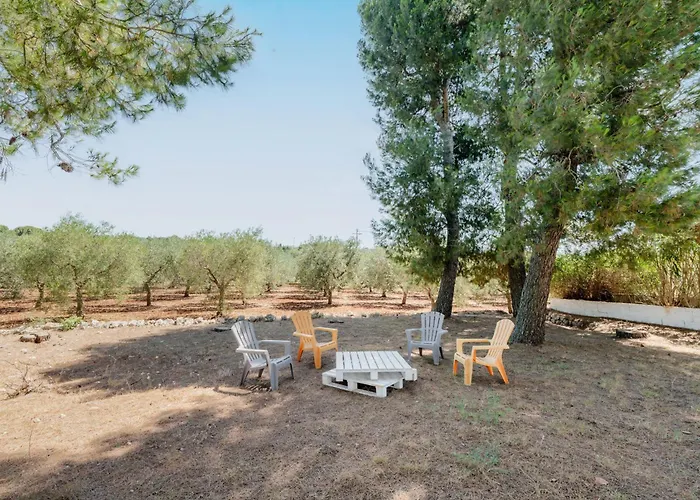 White Conus By Rentbeat